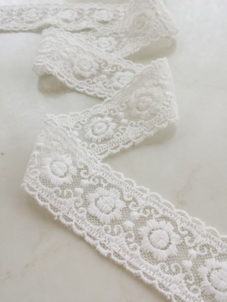 画像2: チュールレース。 (2)