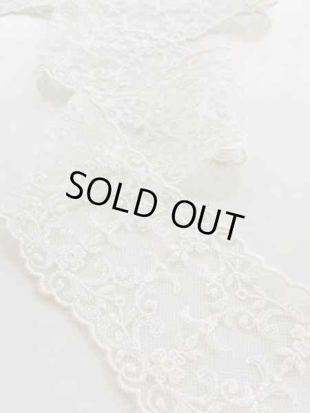 画像2: チュールレース (2)