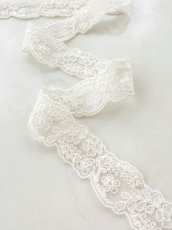 画像2: チュールレース (2)