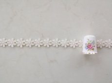 画像3: ケミカルレース (3)