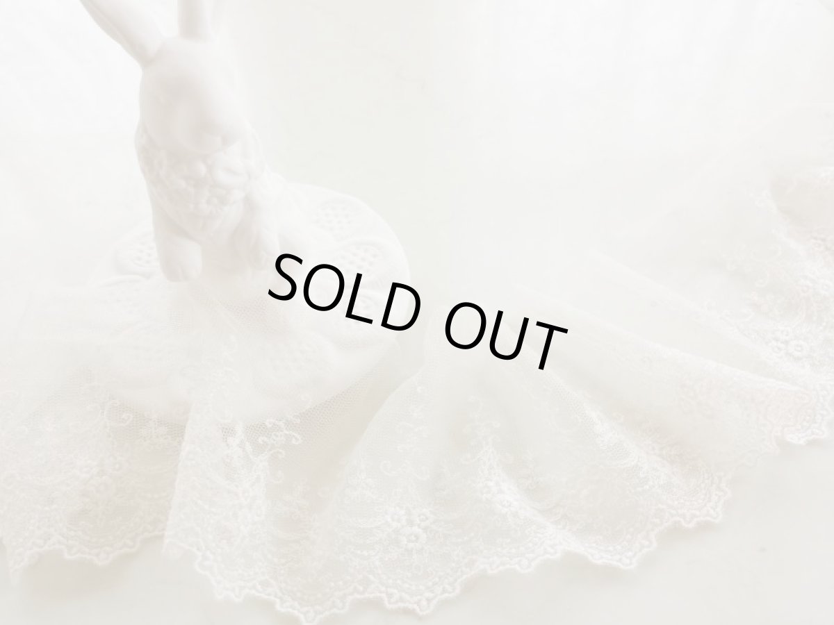 画像1: チュールレース　 (1)