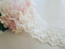 画像1: チュールレース　 (1)