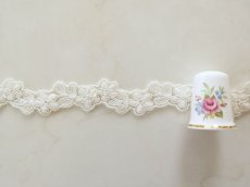 画像2: チュールレース　 (2)