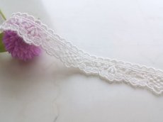 画像1: チュールレース　 (1)