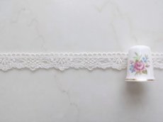 画像3: チュールレース　 (3)