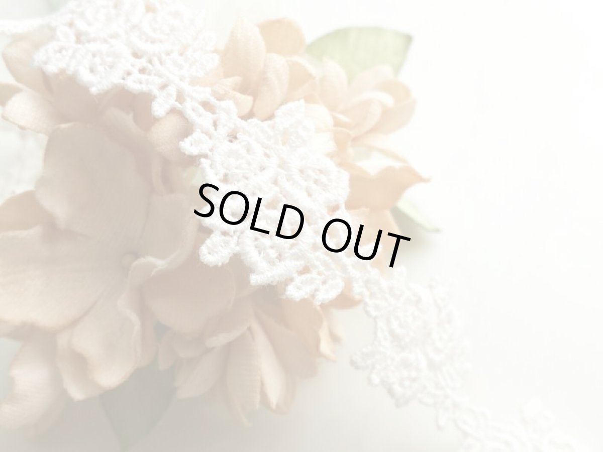 画像1: ケミカルレース (1)