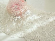 画像1: チュールレース (1)