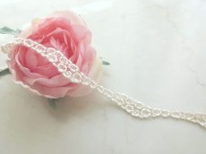 画像5: チュールレース (5)