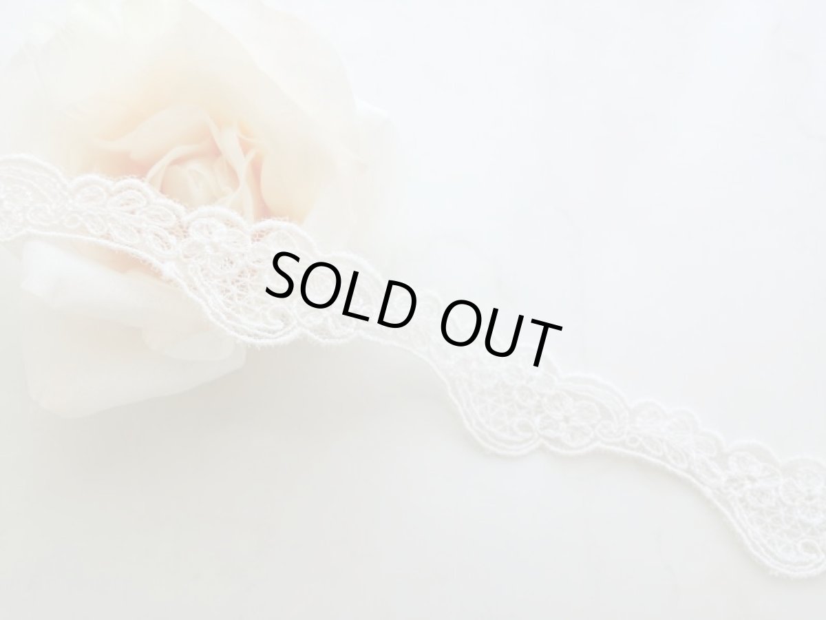 画像1: チュールレース　 (1)