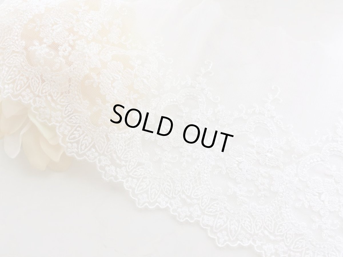 画像1: チュールレース　 (1)