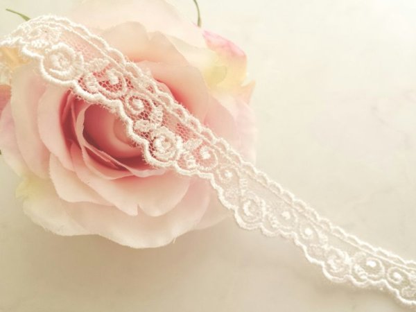 画像2: チュールレース　 (2)