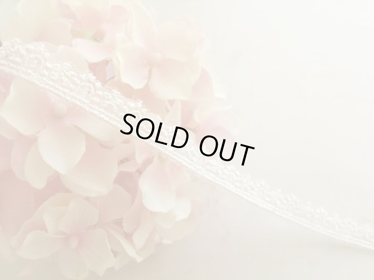 画像1: チュールレース　 (1)