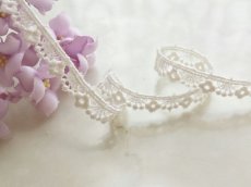 画像1: ケミカルレース　 (1)