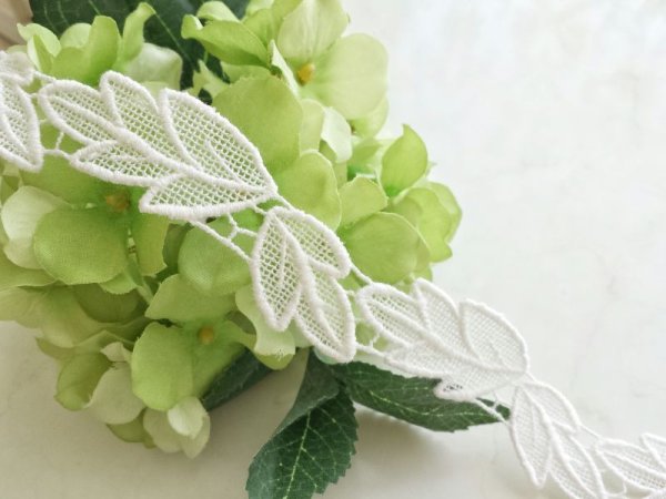 画像2: ケミカルレース　 (2)