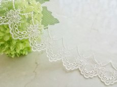 画像1: チュールレース　 (1)