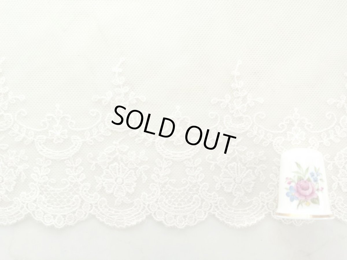 画像2: チュールレース (2)