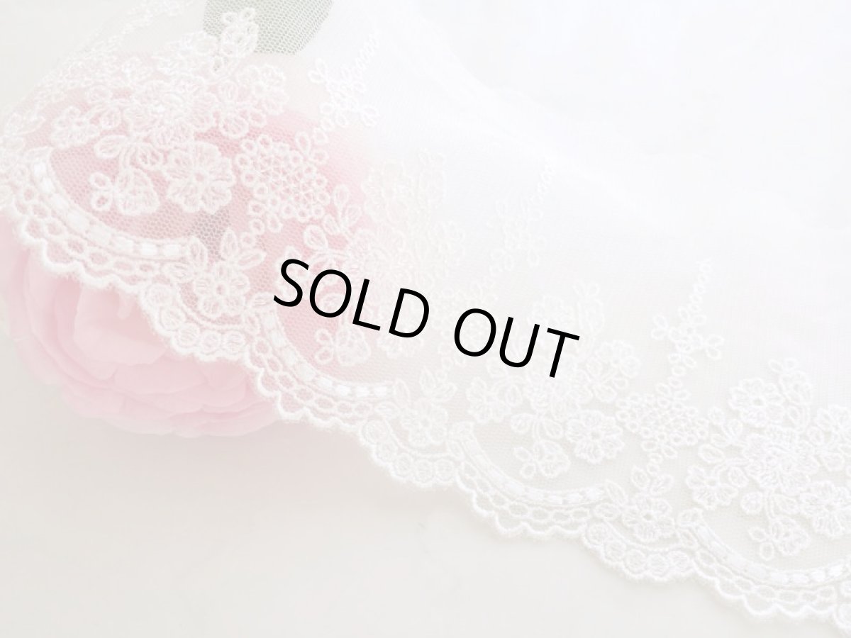 画像1: チュールレース (1)