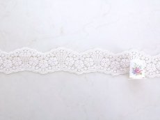 画像3: ケミカルレース (3)