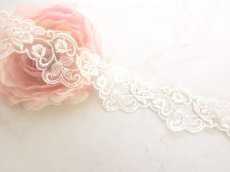 画像1: チュールレース (1)