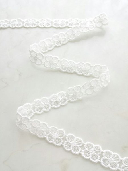 画像4: チュールレース (4)