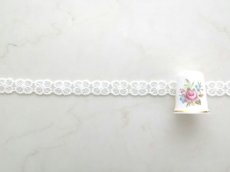 画像3: チュールレース (3)