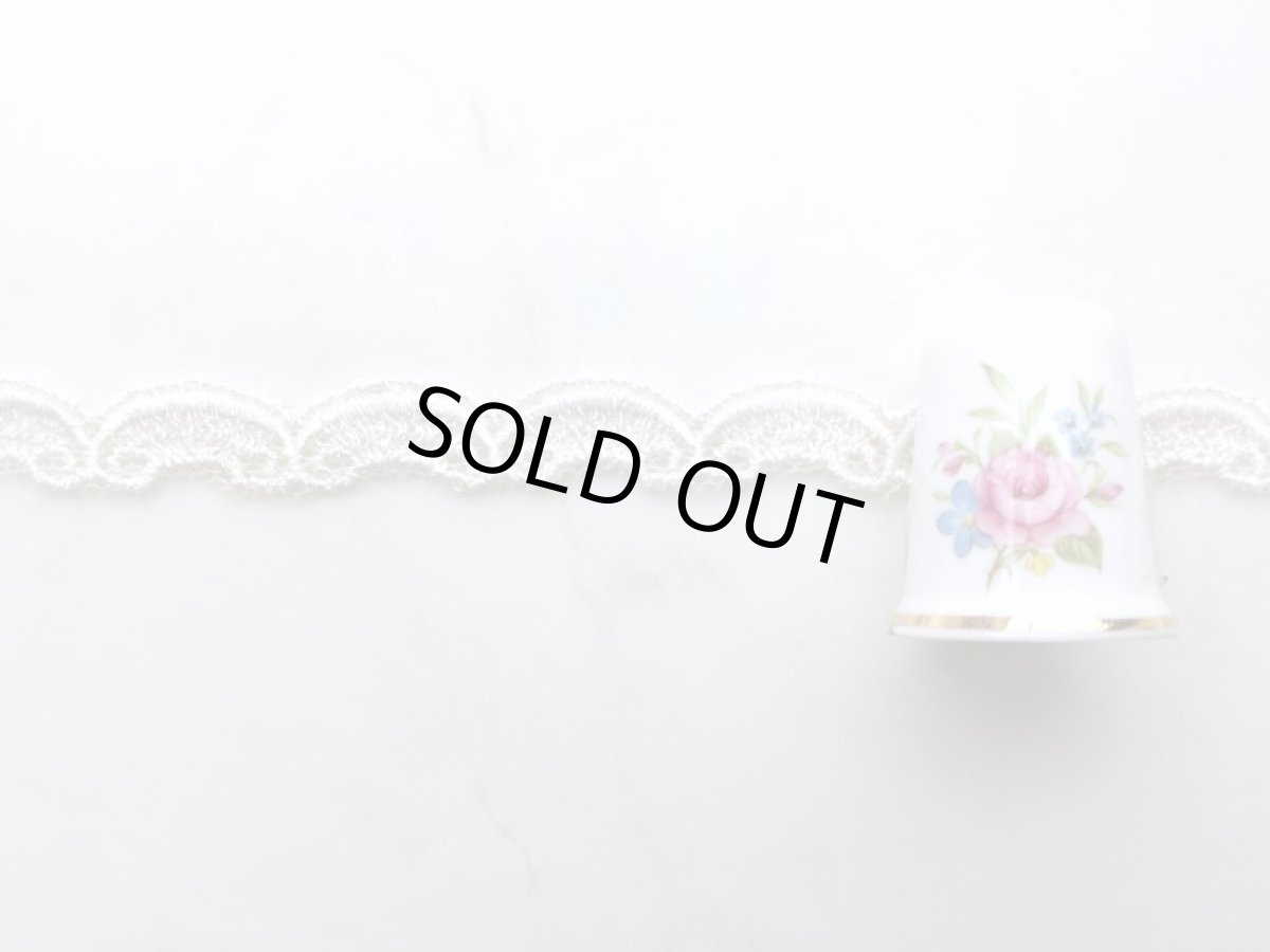 画像2: チュールレース (2)