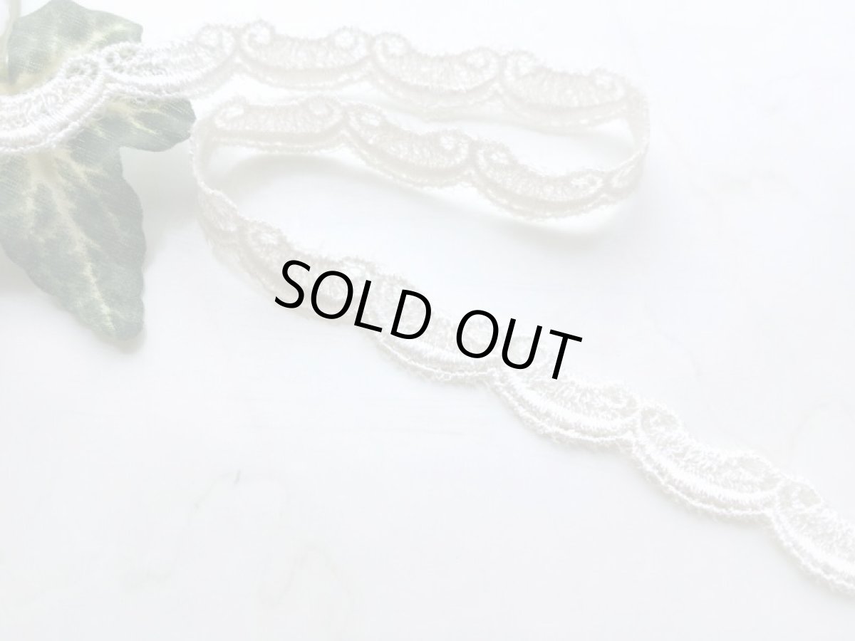 画像1: チュールレース (1)