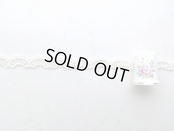 画像3: チュールレース (3)