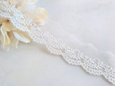 画像1: チュールレース　 (1)