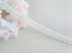 画像1: ケミカルレース (1)