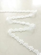 画像4: ケミカルレース (4)