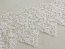 画像4: チュールレース (4)