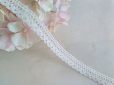 画像1: ケミカルレース (1)