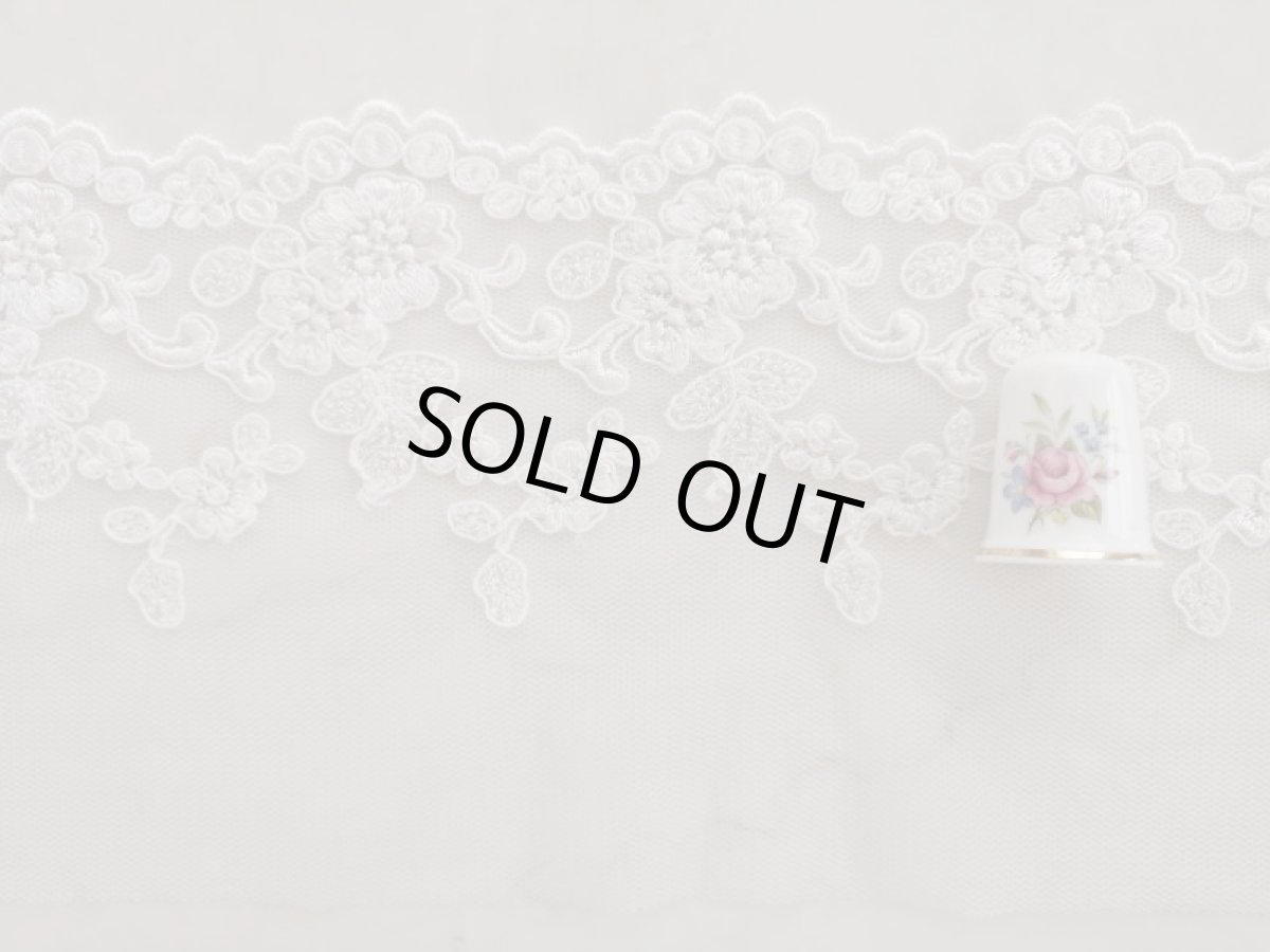 画像2: チュールレース (2)