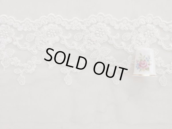 画像2: チュールレース (2)