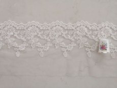 画像3: チュールレース (3)