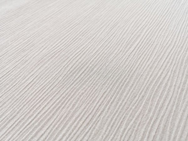 画像3: ちぢみ布 G (3)