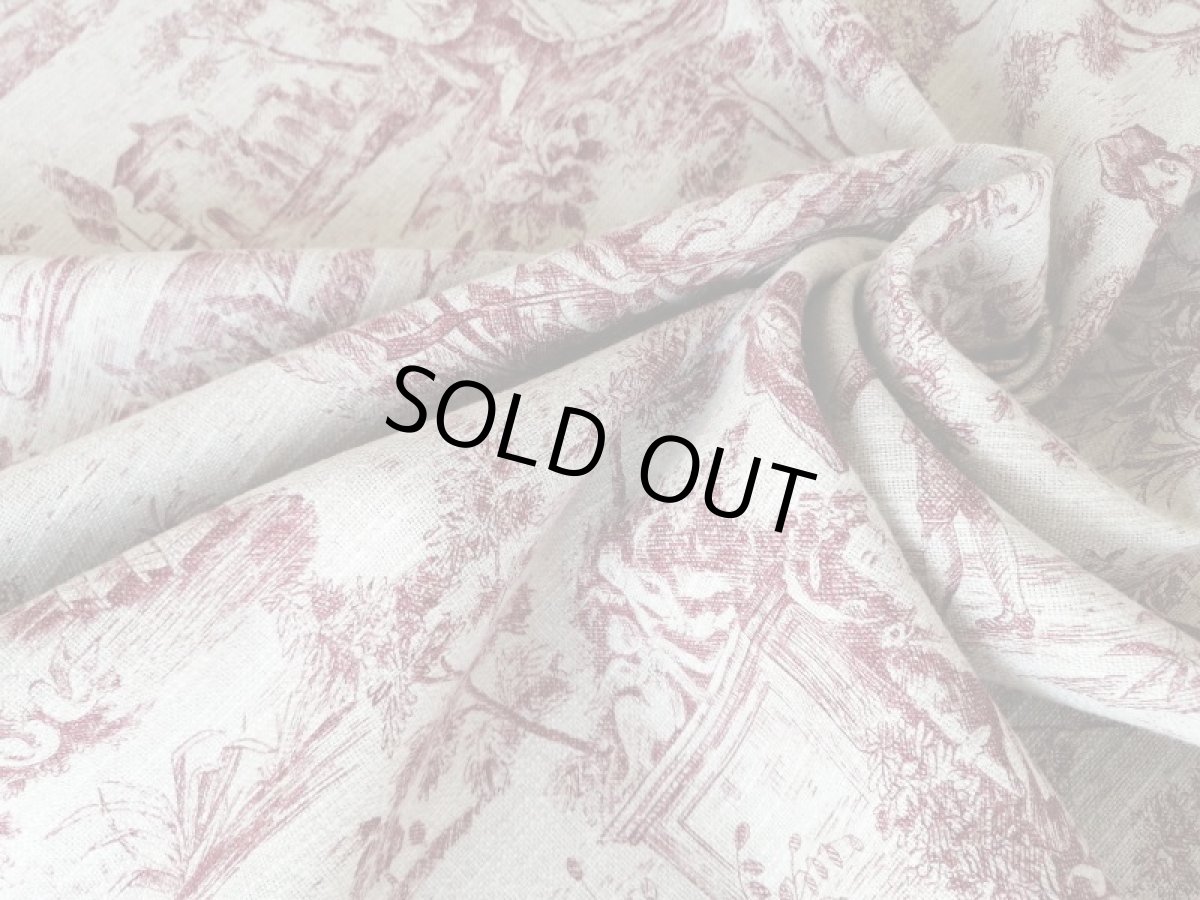 画像6: トワルドジュイ柄 (6)