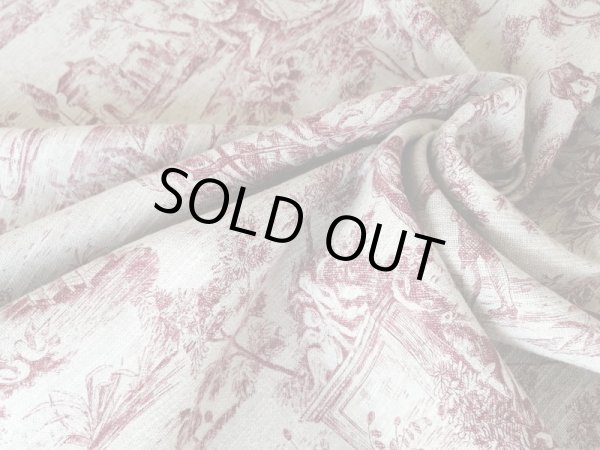 画像6: トワルドジュイ柄 (6)