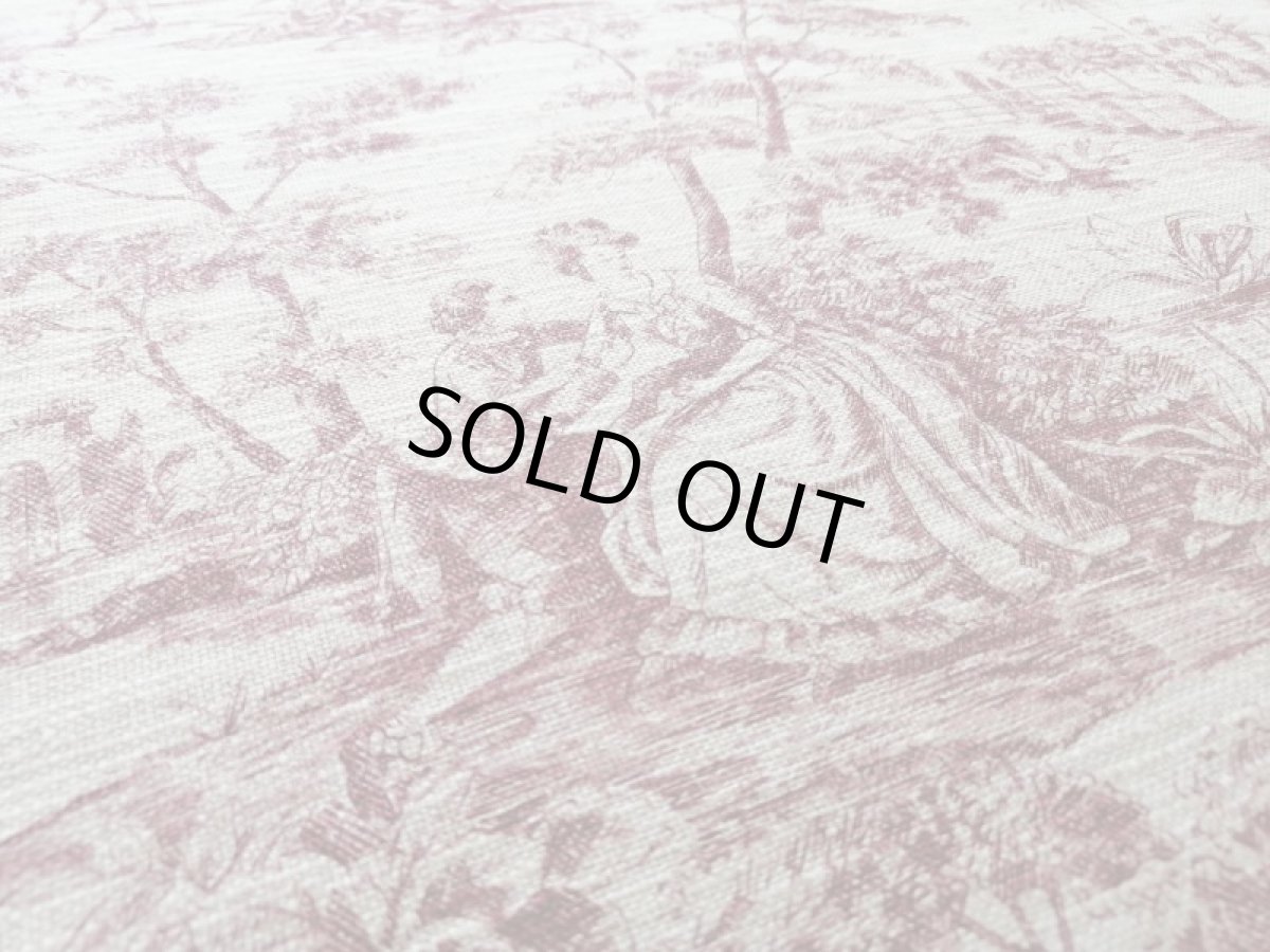 画像4: トワルドジュイ柄 (4)