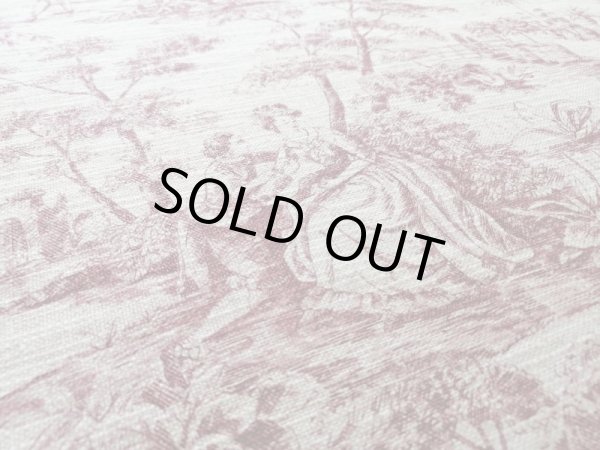 画像4: トワルドジュイ柄 (4)