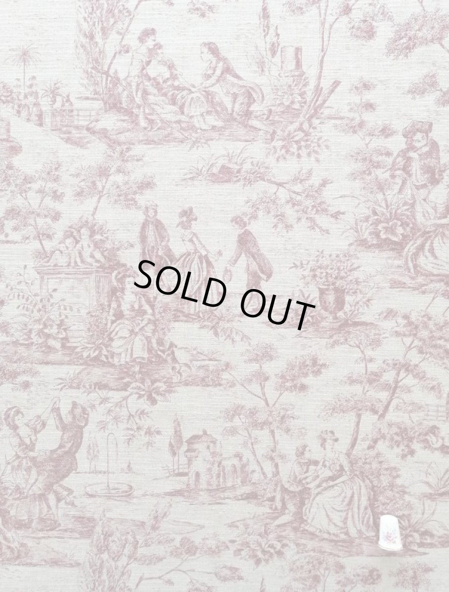 画像2: トワルドジュイ柄 (2)