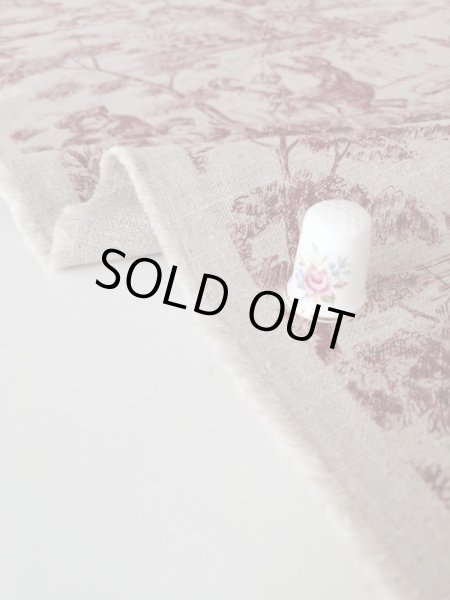 画像7: トワルドジュイ柄 (7)