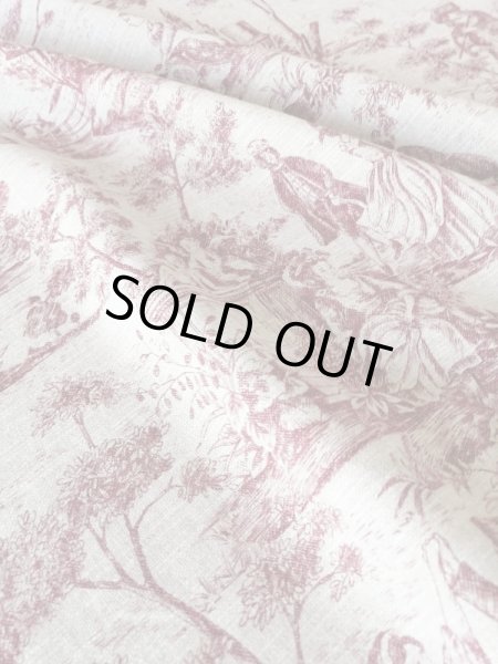 画像5: トワルドジュイ柄 (5)