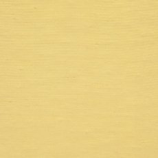 画像3: シャンタン生地 (3)