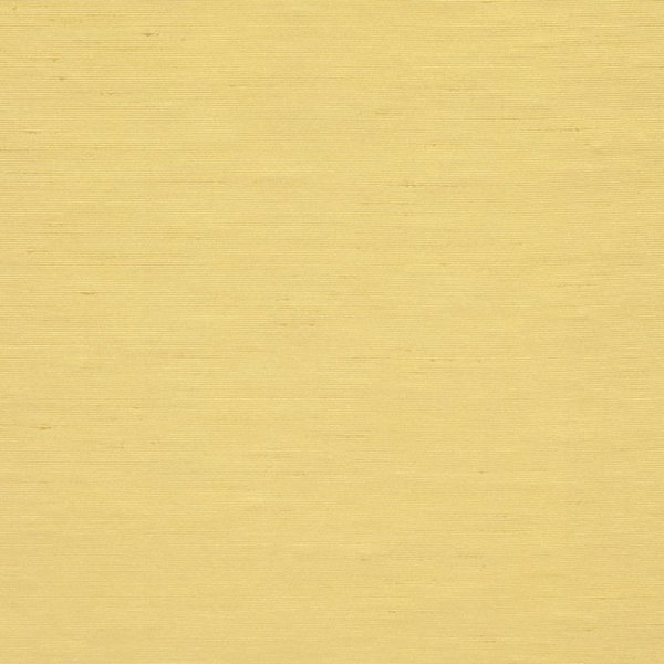 画像3: シャンタン生地 (3)