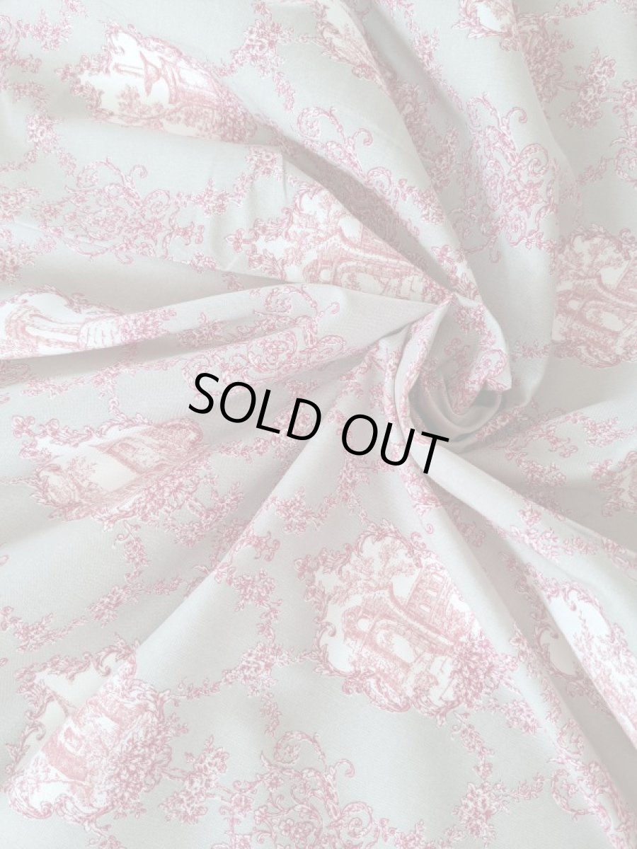 画像5: トワルドジュイ柄 (5)