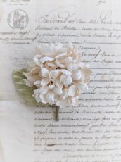 画像2: 布花　〜優しいクリーム色の紫陽花のコサージュ〜 (2)
