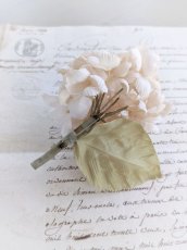 画像4: 布花　〜優しいクリーム色の紫陽花のコサージュ〜 (4)