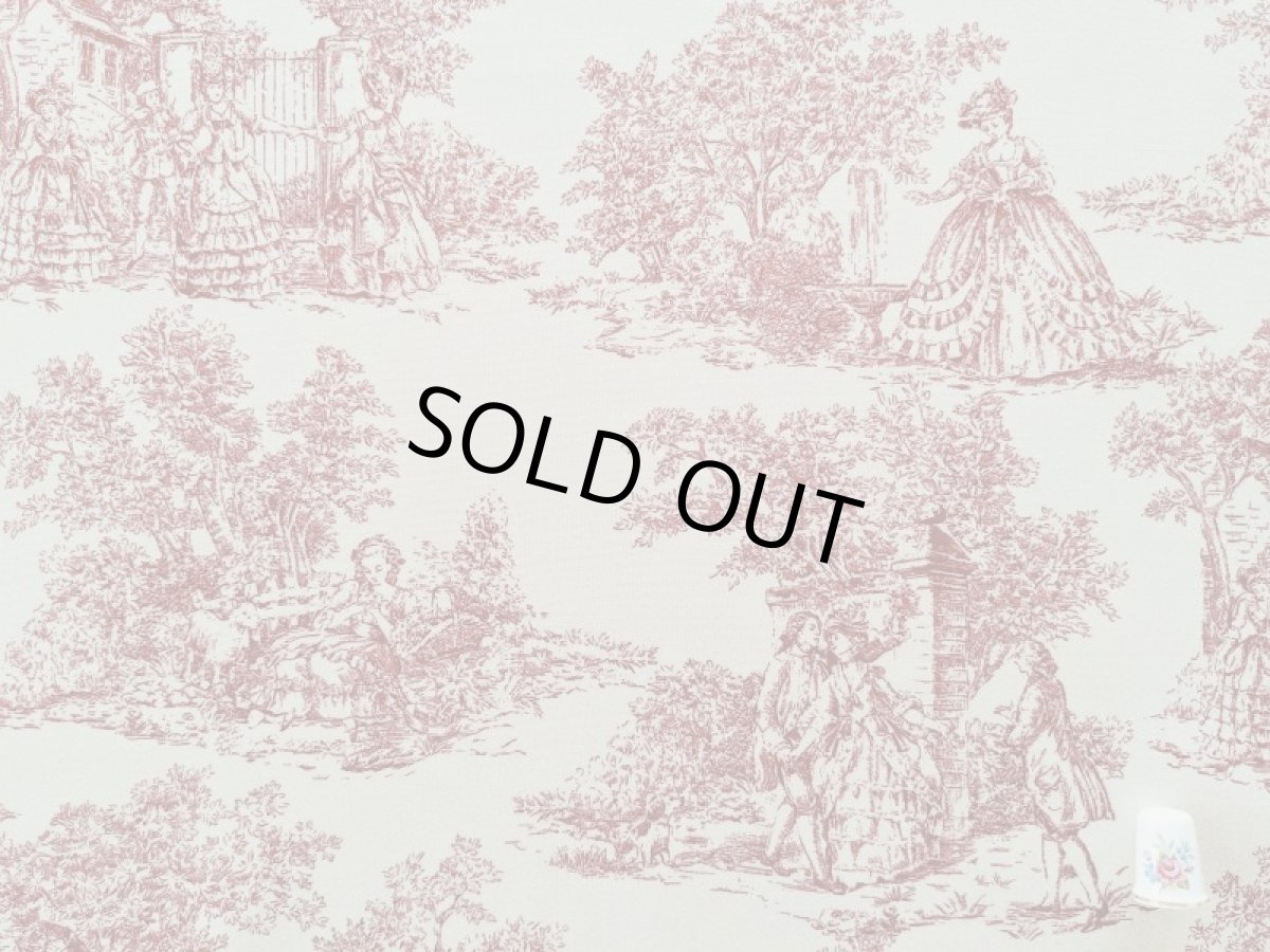 画像4: トワルドジュイ柄 (4)